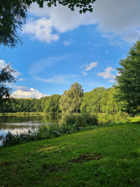 Duurzaam Leven voor Beginners: Starten met Duurzaamheid