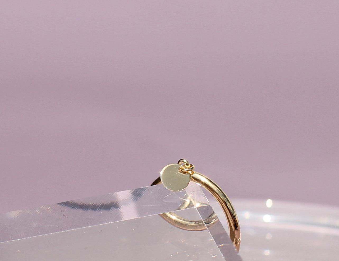 Harmonized duurzaam Goud Vermeil ring Ana Dyla ring glad bedel glad