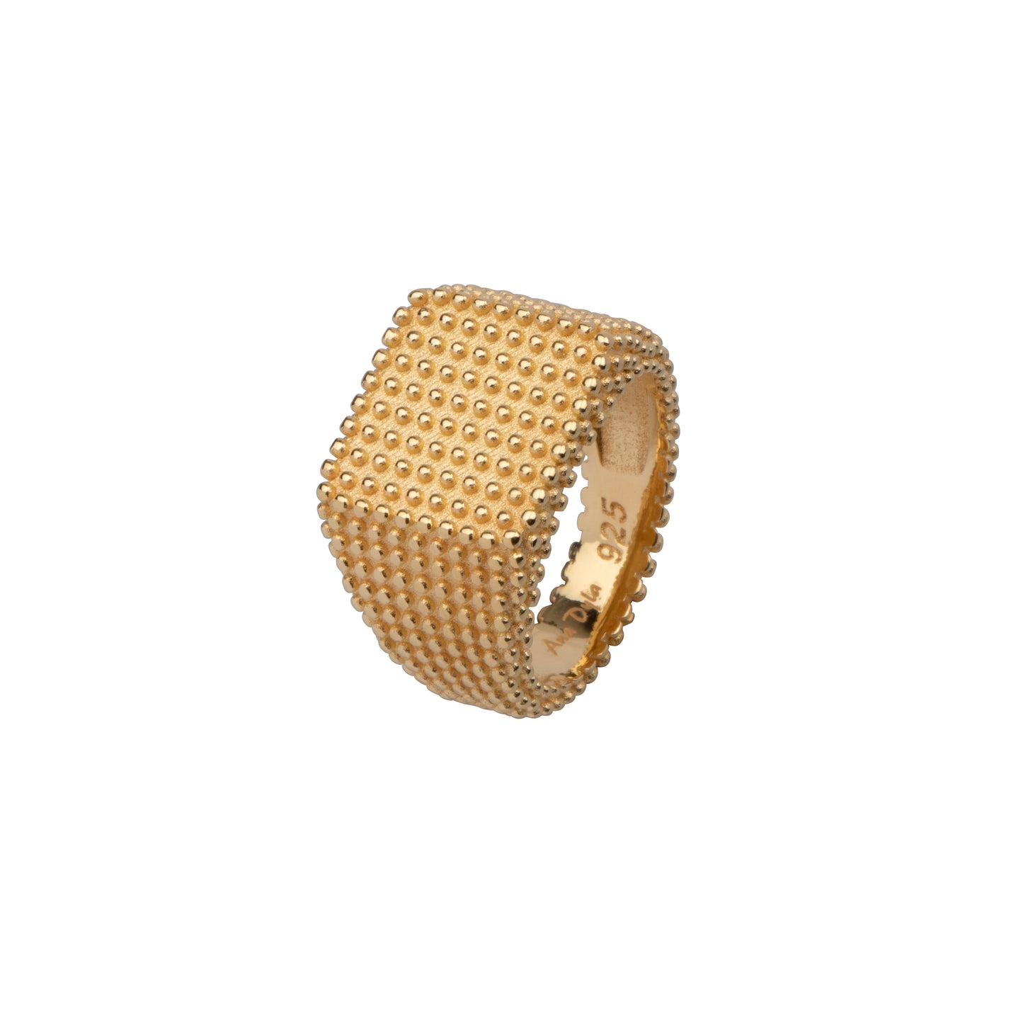 Harmonized grote zegelring sterling zilver vermeil Ana Dyla