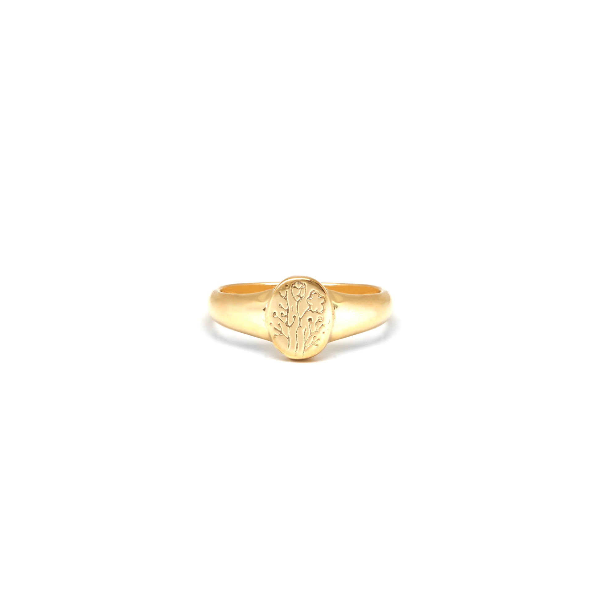 Duurzame Sieraden | Riverstones Wildflower Singet Ring goud