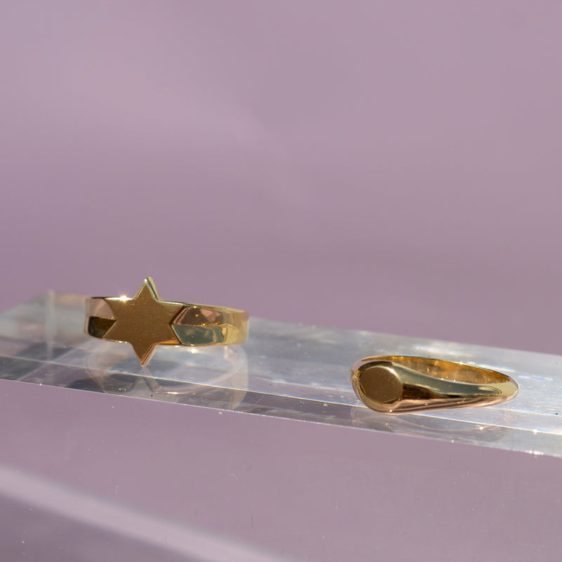 Harmonized Mila Signet zegel ring Ana Dyla sfeer